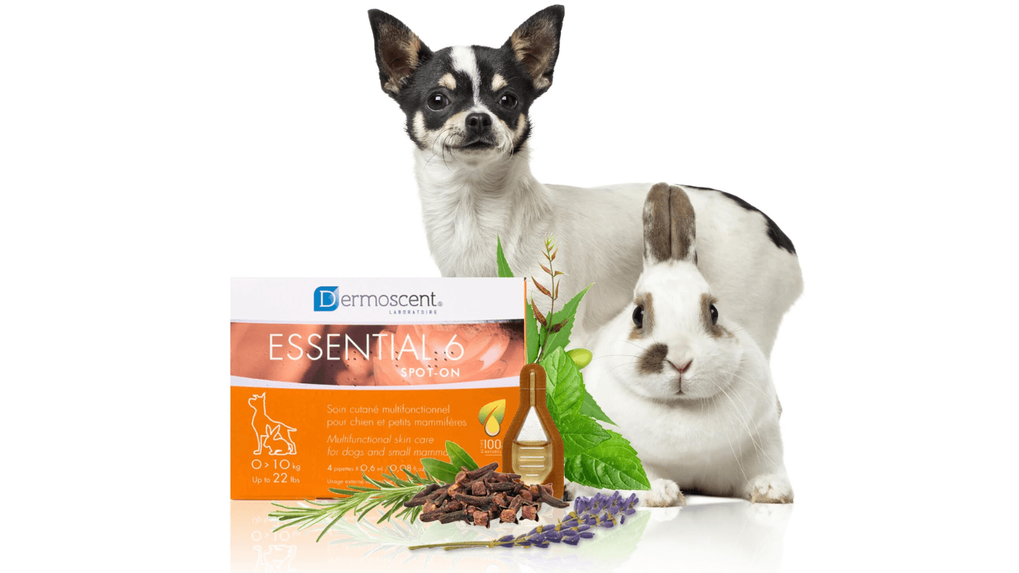 DERMOSCENT Ampula za pse 0-10kg Essential 6 spot-on 0.6ml