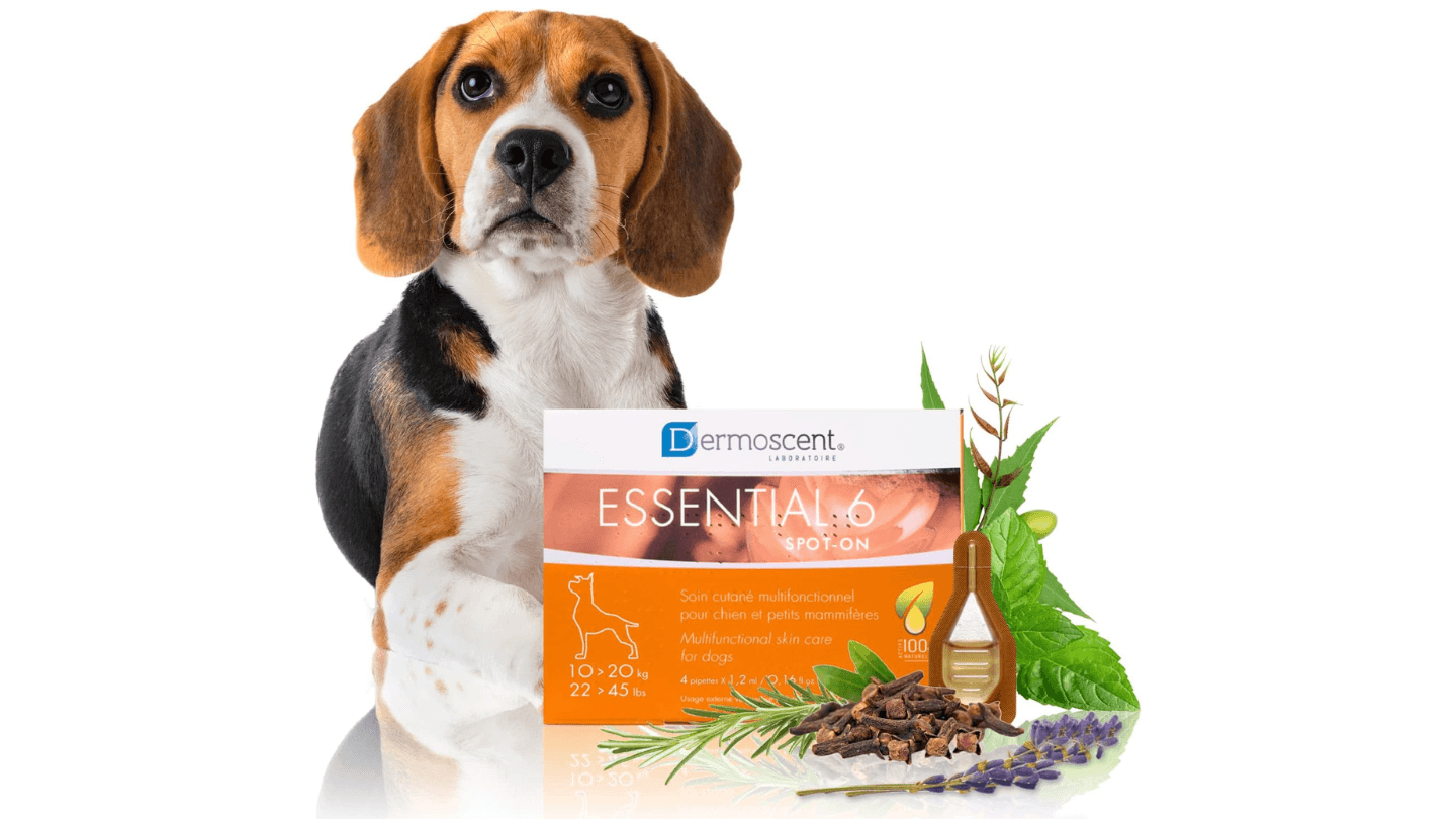 DERMOSCENT Ampula za pse 10-20kg Essential 6 spot-on 1.2ml