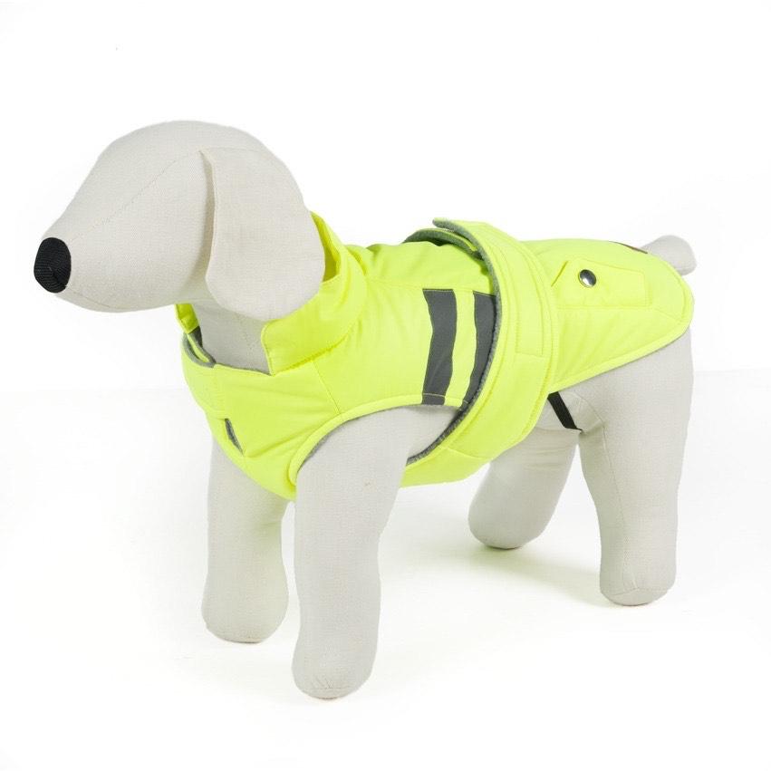 Farmcompany Odelce za pse, Žiuo