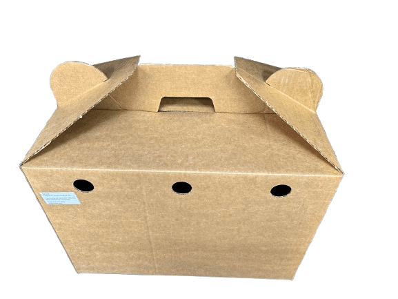 Farmcompany Kartonski transporter za mačke, 26x40x29 cm