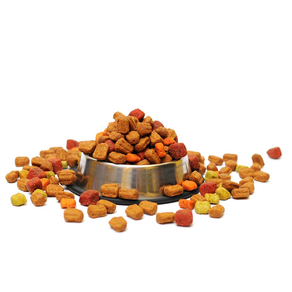 Suva hrana za mačke