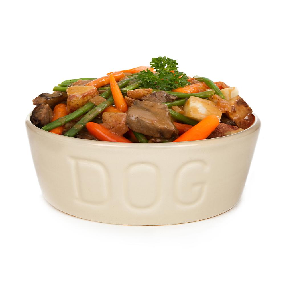 Medicinska hrana za pse