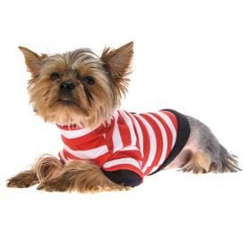 Odeća za pse i modni dodaci