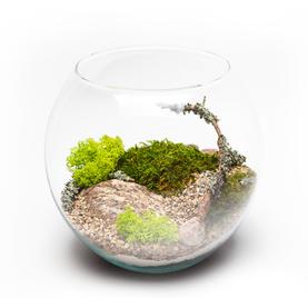 Terarijumi i akvaterarijumi