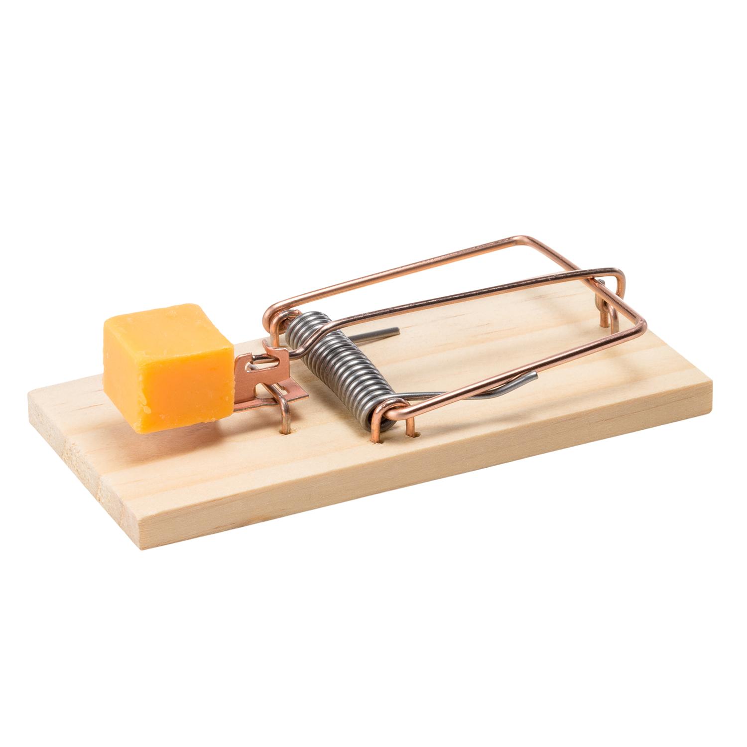 Zaštita od štetočina