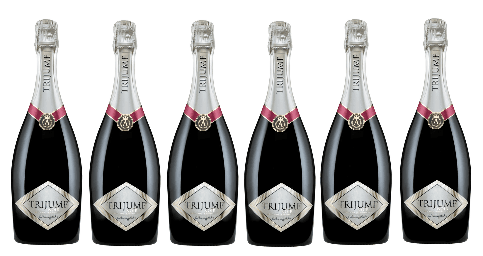 Vinarija Aleksandrović Trijumf Noir penušavo vino, paket vina, 6 boca