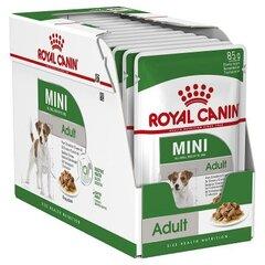 1 thumbnail image for Royal Canin Dog Adult Mini preliv 12x85g