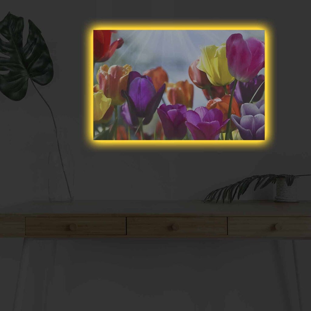 Wallity Slika sa LED osvetljenjem 4570DHDACT-042, 45x70 cm
