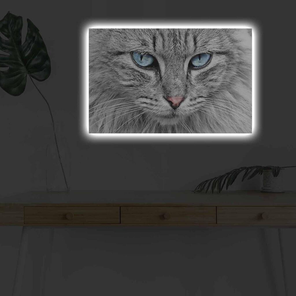 Wallity Slika sa LED osvetljenjem 4570DHDACT-065, 45x70 cm
