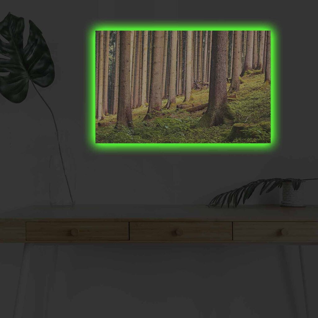 Wallity Slika sa LED osvetljenjem 4570DHDACT-010, 45x70 cm