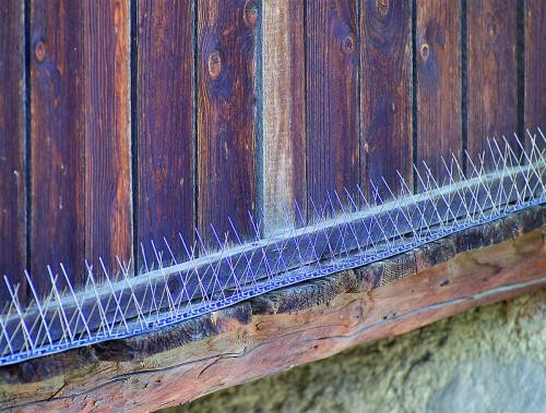 Stocker Mreža za odbijanje ptica A44108, 0.5m