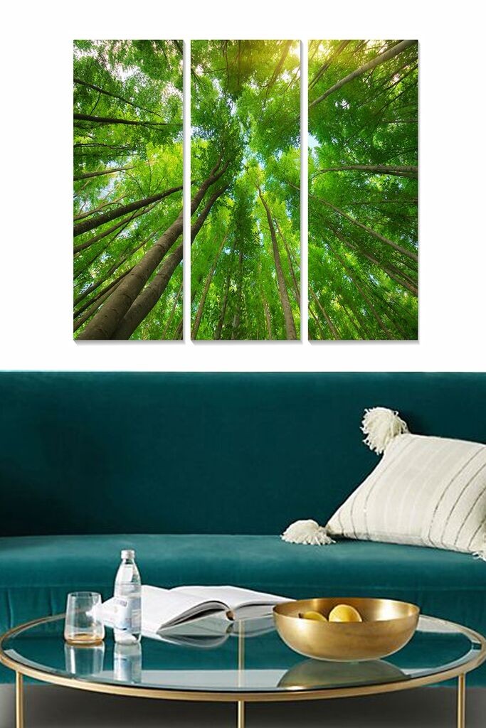 Wallity Set slika MDF211812517, 3 Dela