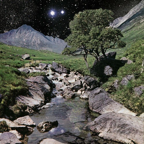 The Beta Band - The Beta Band (2LP)