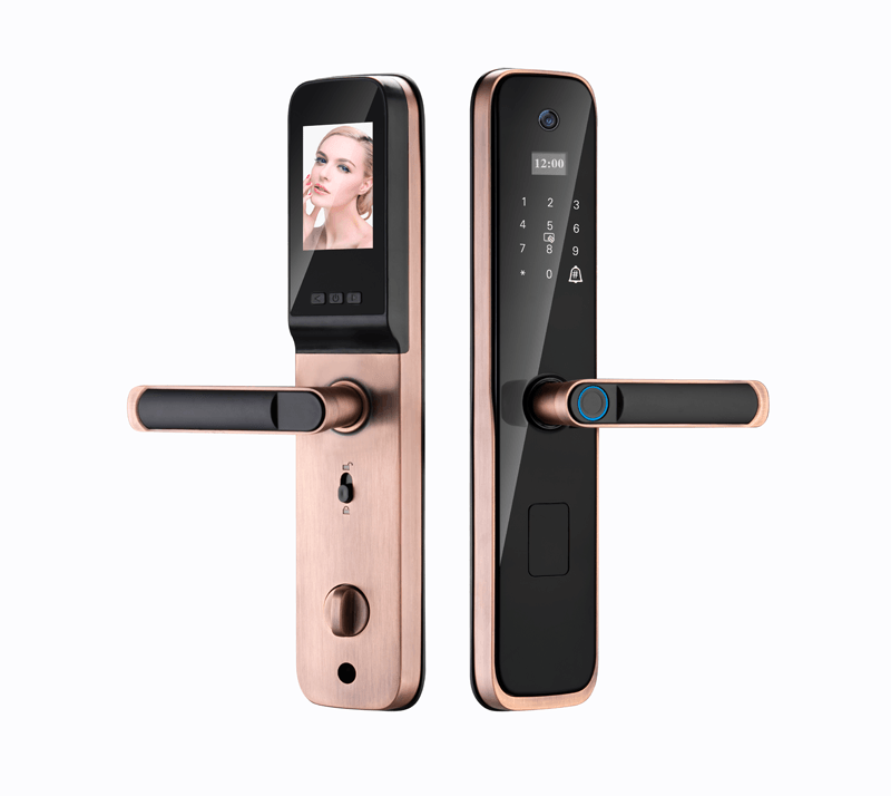 Smart Nest Pametna brava sa kamerom i dvosmernom video komunikacijom, Bronzana