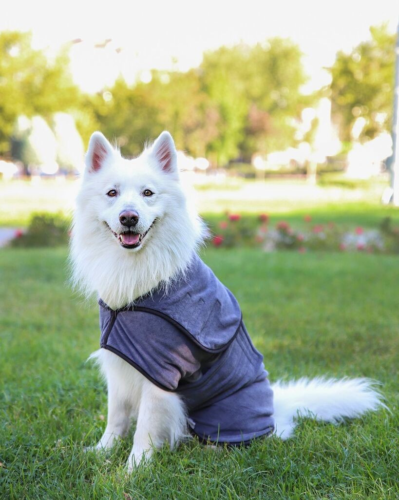 Paws & Whiskers Ogrtač za pse Drygown, Sivi