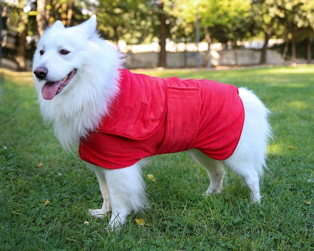 Paws & Whiskers Ogrtač za pse Drygown, Crveni