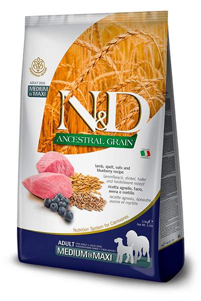 N&D Ancestral Grain Medium&Maki Adult 12kg. - јagnjetina, pira, ovas i borovnice