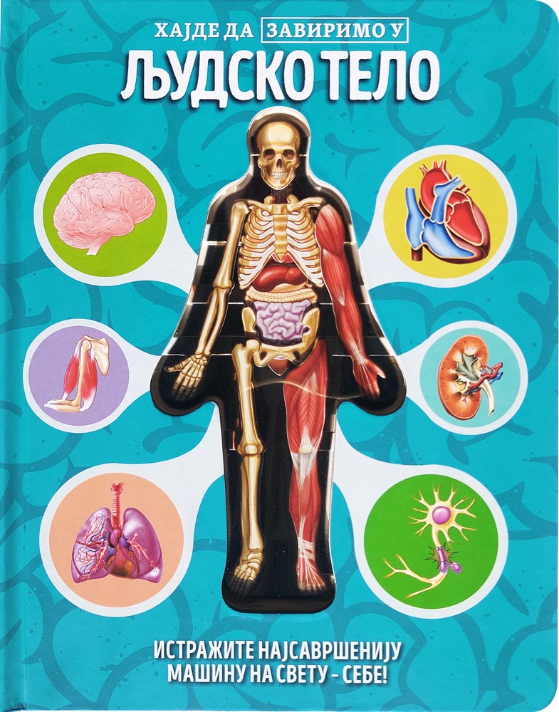 Hajde da zavirimo u: Ljudsko telo