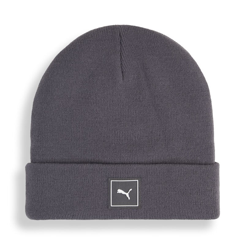 Puma Muška kapa, Siva