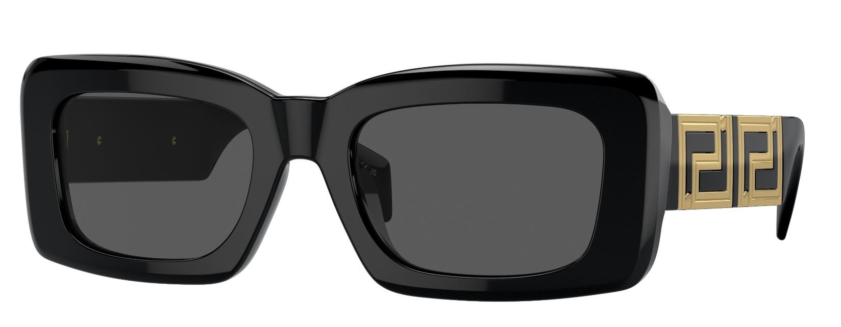 Versace Unisex naočare za sunce 0VE4444U GB1/87 54, Crne