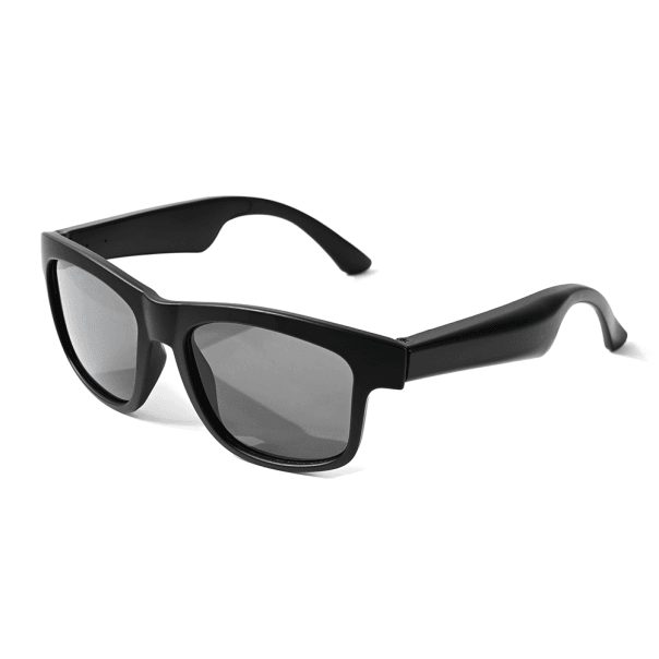 Smart naočare, Sa AI prevodiocem, Tip 1