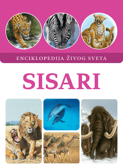 Sisari