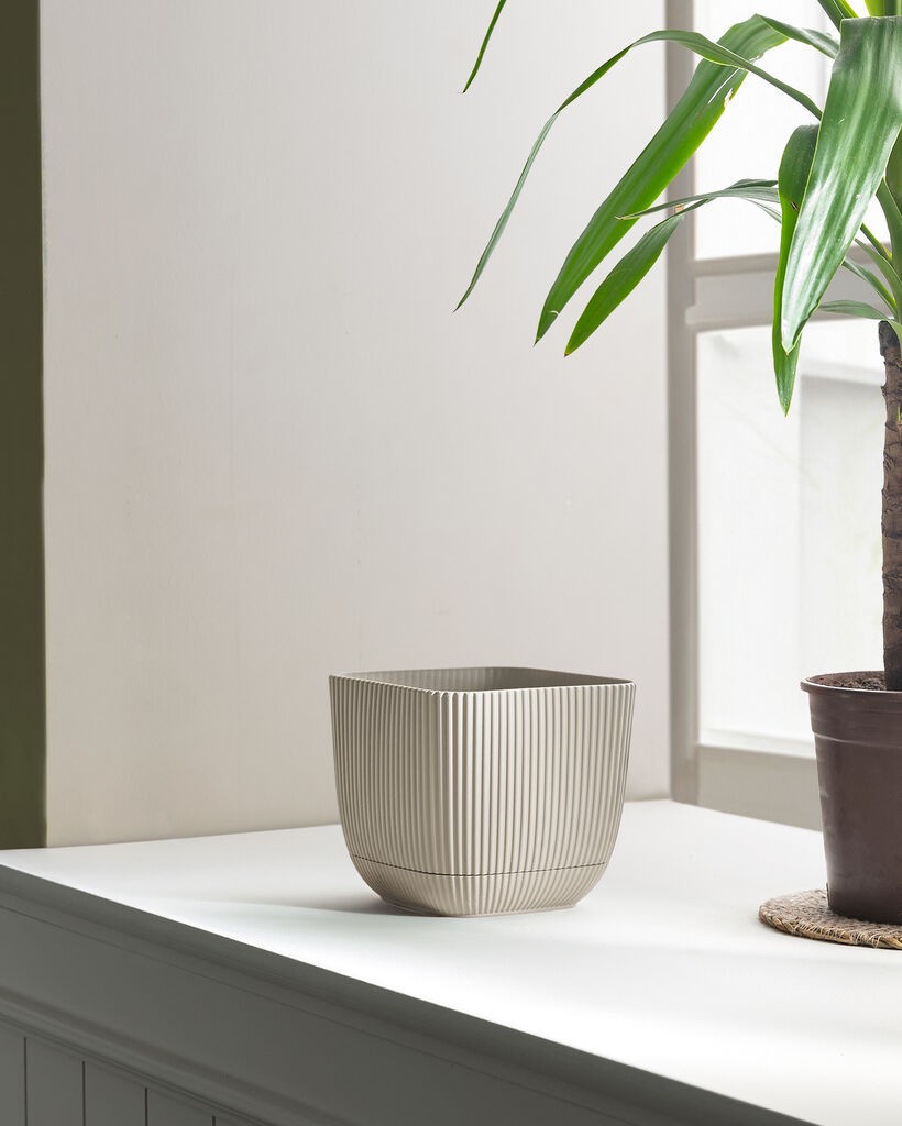 Madame Coco Saksija Abella, 1800ml, Bež