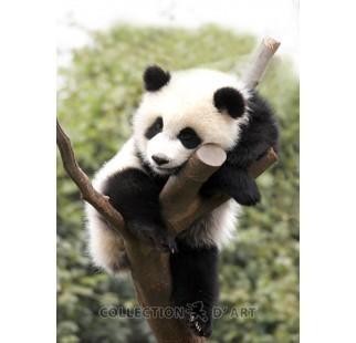 Collection D`Art Kreativni set sa perlicama Panda, 27cm x 38cm