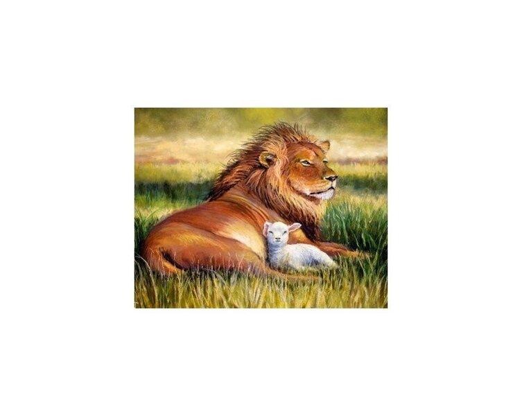 Collection D`Art Set za dijamantski mozaik Čuvar, 48cm x 38cm