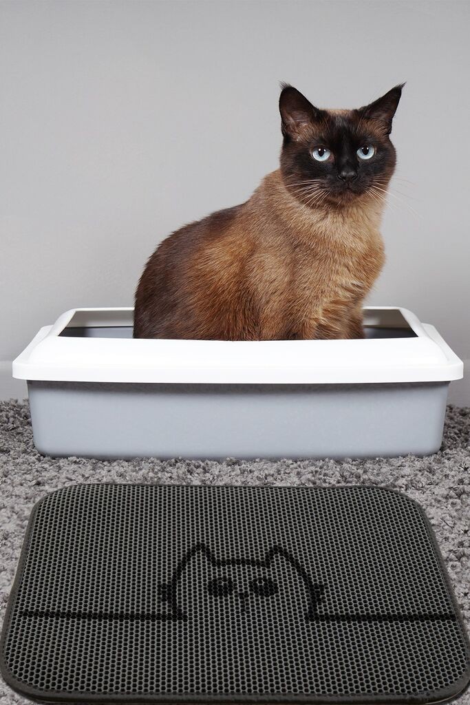 Conceptum Hypnose Prostirka za mačke Hide, 40x60, Siva