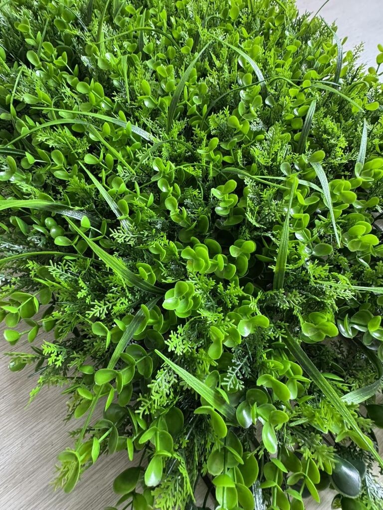 Zeleni zid 3D Wild, 40x60 cm