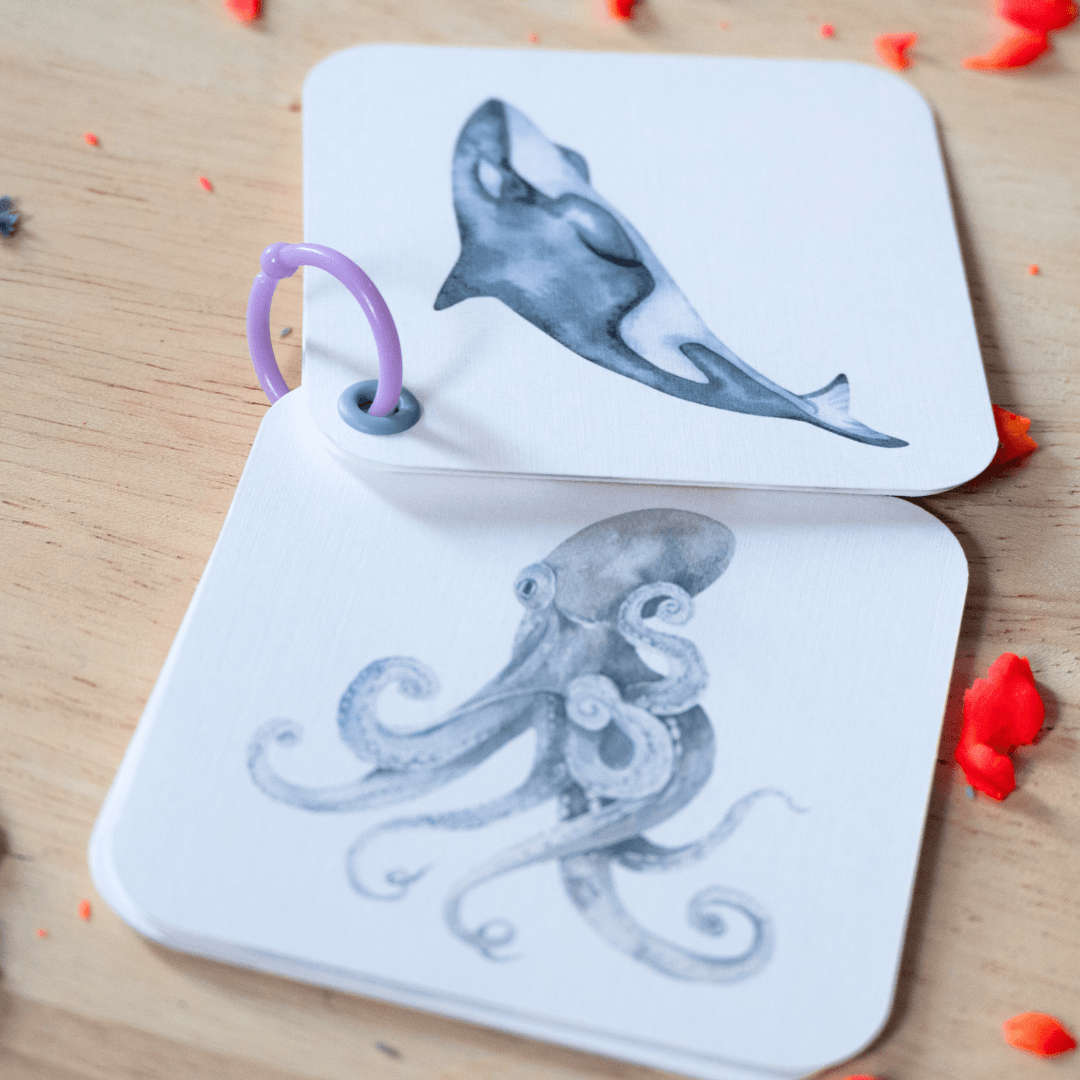 It's a moms world Set Edukativnih kartica za decu Morske životinje, Džepno izdanje