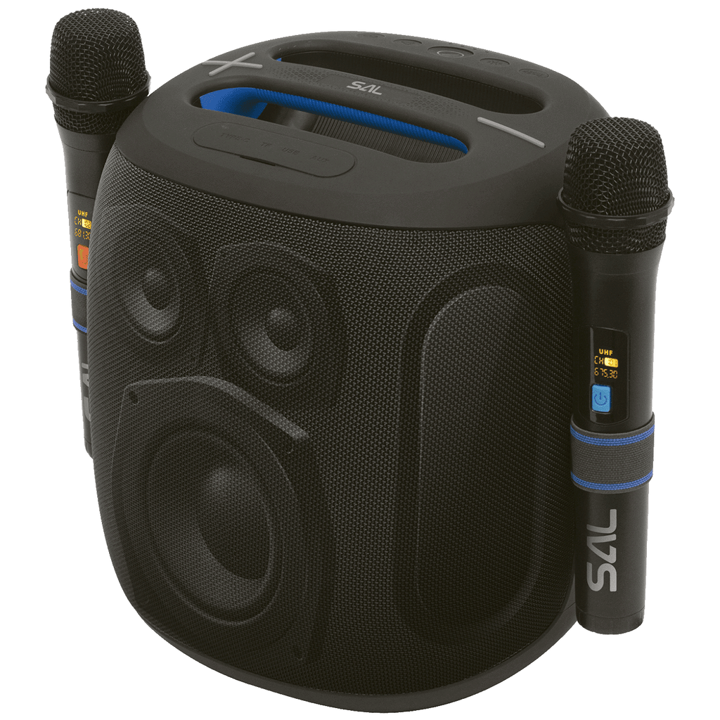 Bežični zvučnik sa mikrofonom PARCUBE, Boombox, Bluetooth, 100W, IPX5, crni