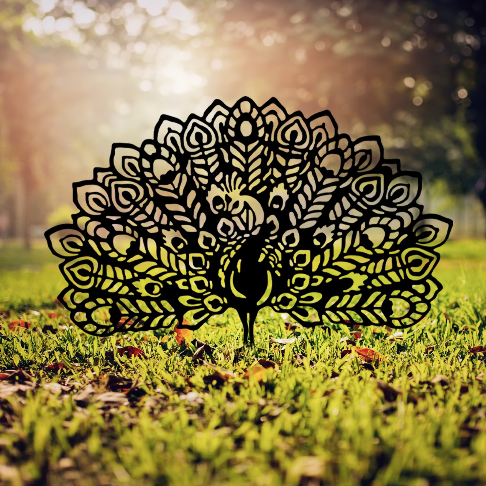 Aberto Design Dekorativna figura Peacock 01, 53x61 cm, 1.5 mm