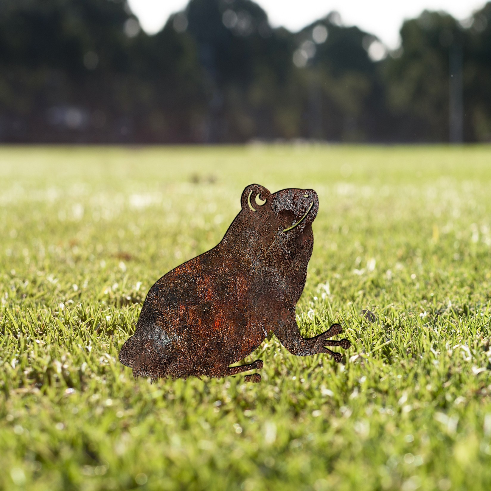 Aberto Design Dekorativna figura Frog -A 01, 34x22 cm, 1.5 mm