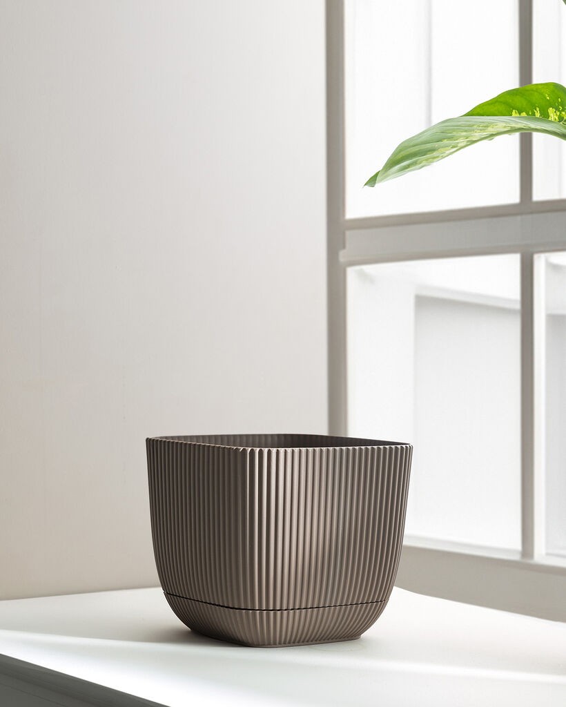 Madame Coco Ukrasna saksija Abella, 4 L, Braon