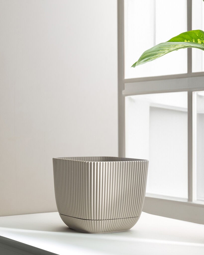 Madame Coco Ukrasna saksija Abella, 4 L, Bež