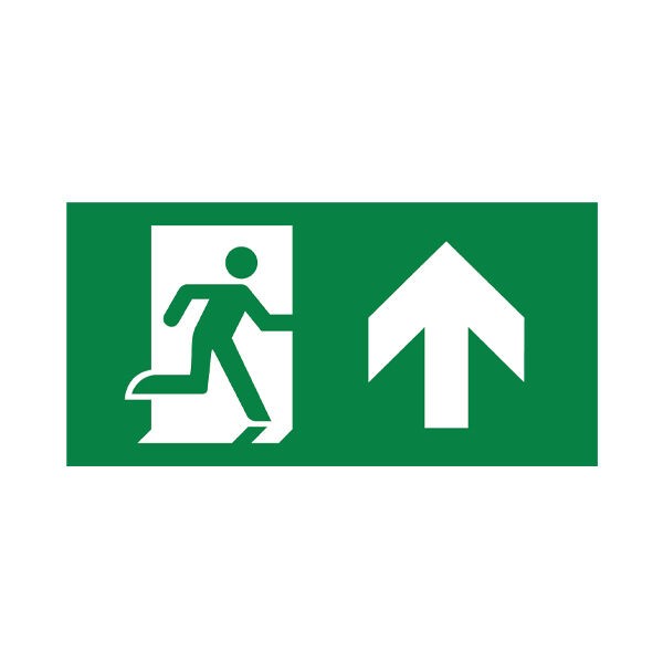 Braytron Pvc Oznaka BRY-EXIT ZNAK-GORE