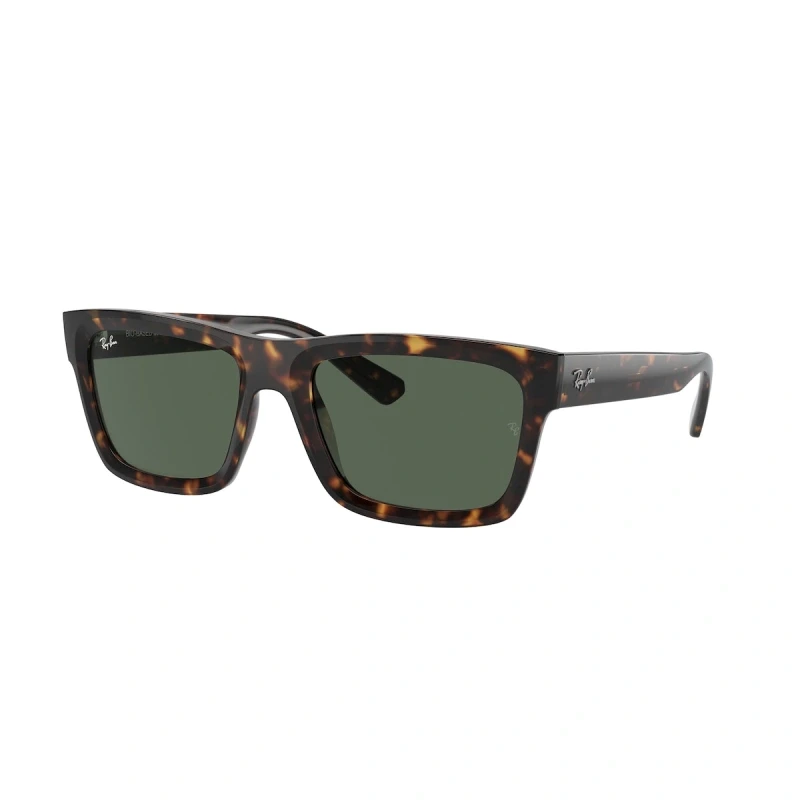 Ray Ban Naočare za sunce Warren 0RB4396 135971 54, Braon