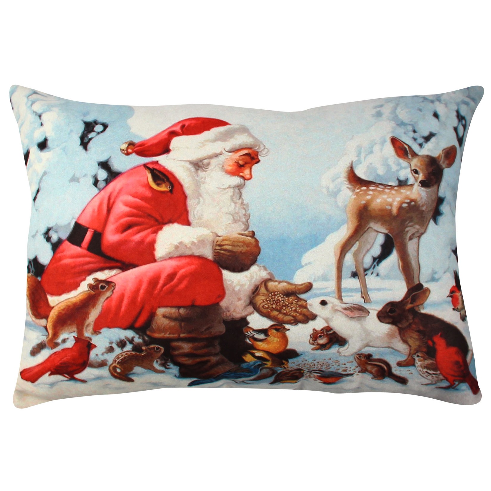 Aberto Design Jastuk 33x48cm Šareni