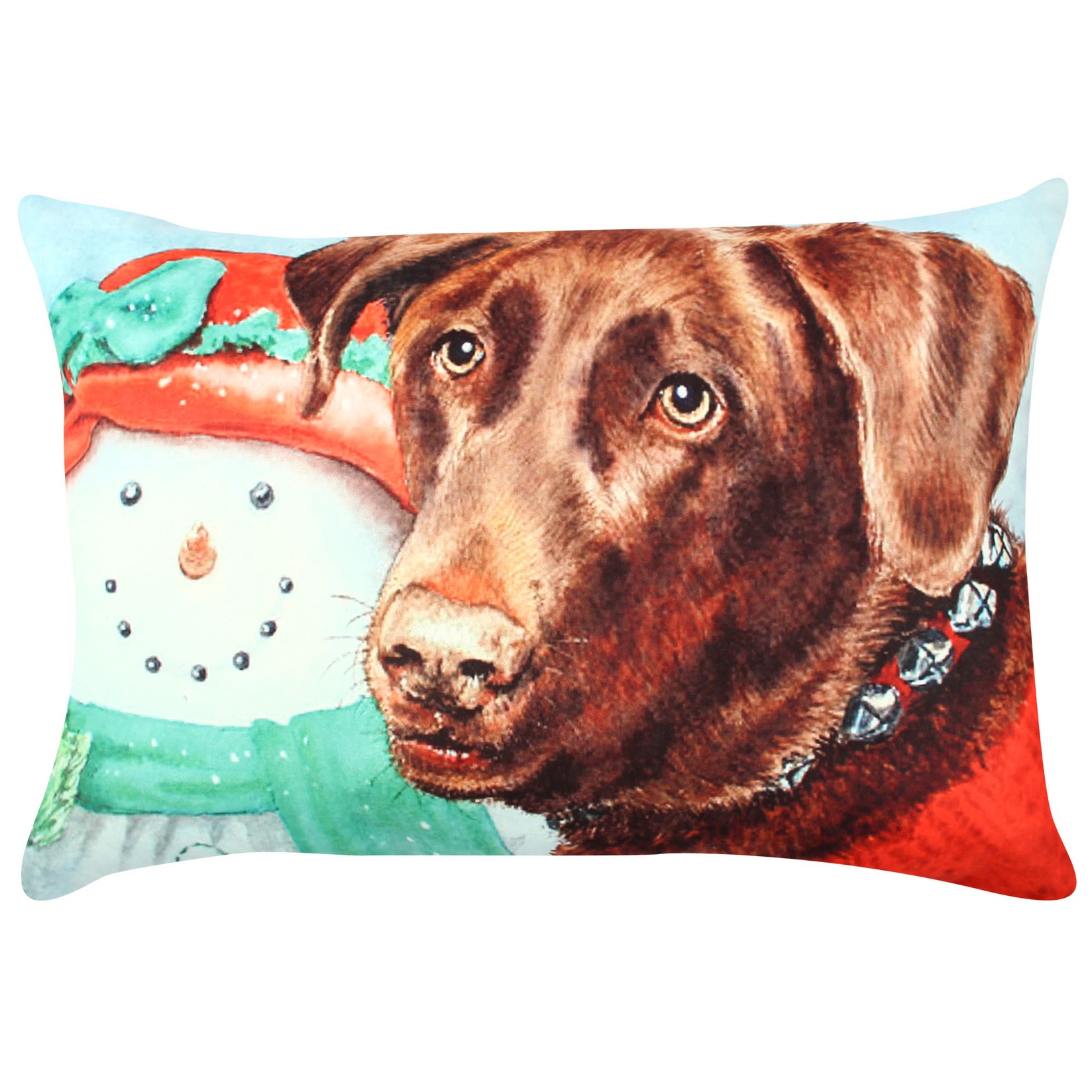 Aberto Design Jastuk 33x48cm Šareni