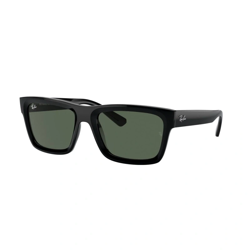 Ray Ban Naočare za sunce Warren 0RB4396 667771 57, Crne