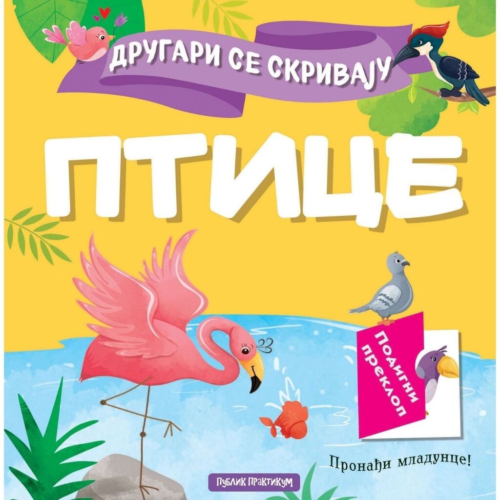 Drugari se skrivaju - Ptice