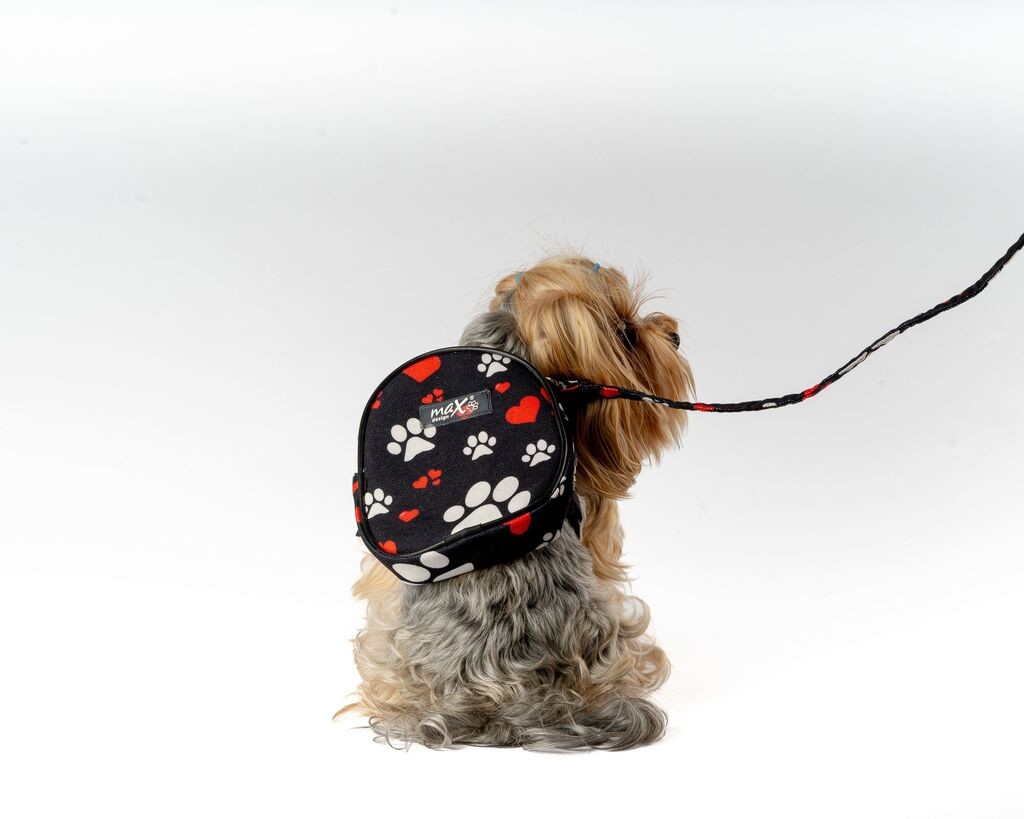 Paws & Whiskers Ranac i povodac za pse, Crni