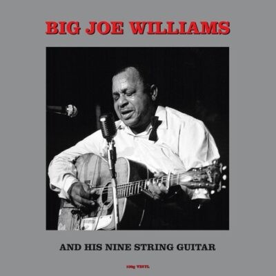 Big Joe Williams - Big Joe Williams and His Nine String Guitar