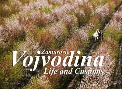 Vojvodina, Life and Customs