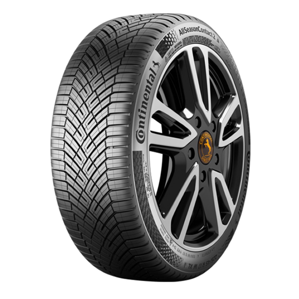 CONTINENTAL All Season guma 235/55R19 Conti AllSeasonContact 2 105V XL