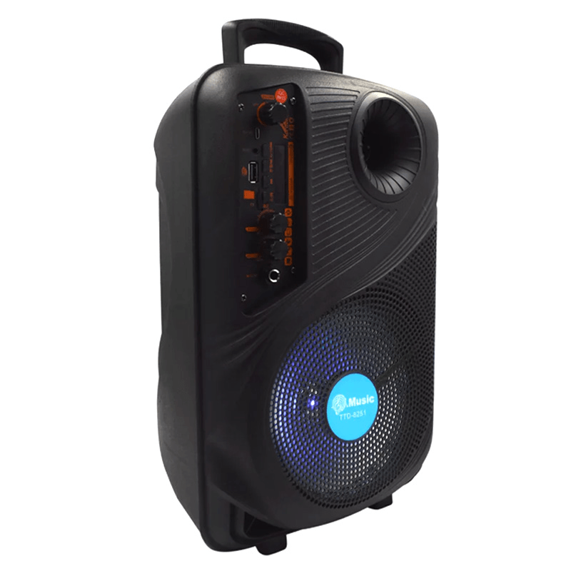 Bluetooth zvučnik TTD-8251 8"