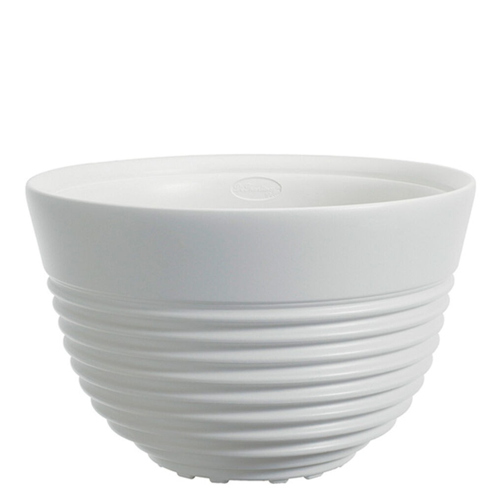 DiMartino Saksija Loira, 7l, Bela