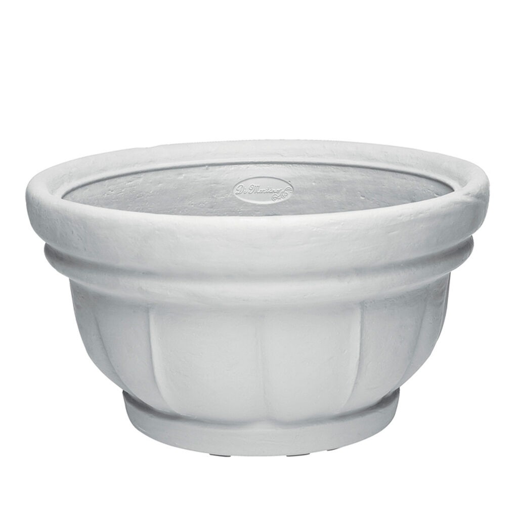 DiMartino Saksija Lara, 17l, Bela